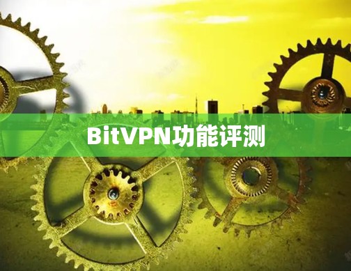 BitVPN功能评测